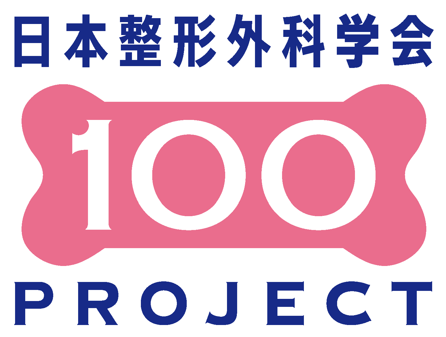 100 Project